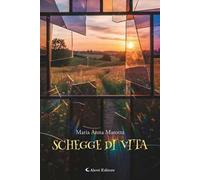 Schegge di vita