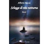 Schegge di vita notturna