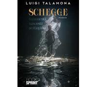 Schegge. Frammenti nascosti nell'anima