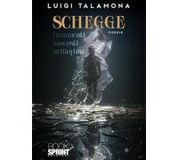 Schegge. Frammenti nascosti nell'anima