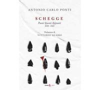 Schegge. Punti spunti appunti 2020-2022