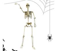 Scheletri all'aperto di Halloween-Scheletro umano delle dimensioni della vita con articolazioni posabili, design resistente alle intemperie | Articolo decorativo per portico del giardino da giardino d