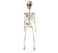 Scheletri per Halloween Modello horror 70 cm snodabile in tutto il corpo