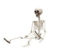Scheletri per Halloween, personaggio di Halloween mobile, 61 cm, decorazione anatomica pieghevole, per feste di compleanno per bambini, feste in ufficio