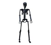 Scheletri umani di Halloweenn - Guarnizioni mobili accessori di Halloween | Scheletri del corpo completo realistici | Decorazioni degli accessori Hallooween | Ossa umane con articolazioni mobili