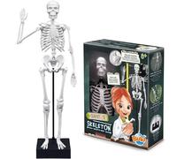 SCHELETRO 45CM ESPLORANDO IL CORPO UMANO GIOCO SCIENTIFICO BUKI 2180