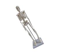 Scheletro Anatomico Anatomia Umana Modello Strumenti Didattici Modelli