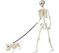 Scheletro di Halloween a grandezza naturale, 165 cm, osso scheletro realistico con articolazioni mobili e scheletro per cani, decorazione per esterni, Halloween, casa spaventosa, scene del cimitero
