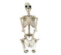 Scheletro di Halloween, decorazione da giardino resistente al tempo, modello di scheletro a grandezza naturale delle articolazioni mobili, decorazione per la casa, oggetti fotografici spaventosi per