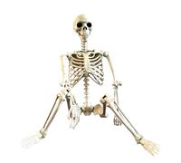 Scheletro di Halloween - Scheletri di decorazioni | Arredamento spaventoso | Scheletro umano delle dimensioni della vita con articolazioni posibili, materiali di scena fotografici per esterni resisten