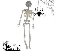 Scheletro mobile | Scheletro articolare mobile del cranio umano - Giocattolo realistico per la casa, l'ufficio, la preferenza di feste, il giardino