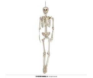 SCHELETRO MODELLABILE GIGANTE 160 cm