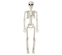 Scheletro Snodabile - Sccheletro Umano A Grandezza Naturale Per Halloween | Costume Da Sccheletro Bambino | Schheletro Articolato Completo Con Giunture Mobili | Decorazione Spaventosa Per Feste