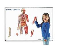 Schema Corporeo Magnetico