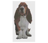 Schema Di Punto Croce Di Florashell - Bassett Hound