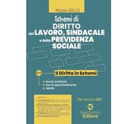 Schemi di diritto del lavoro, sindacale e della previdenza sociale