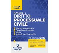 Schemi di Procedura civile 2025. II edizione aggiornata al I e al II Correttivo Cartabia. Maggio 2025