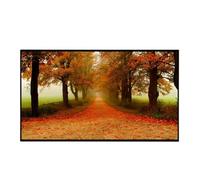 Schermi for proiettori 16:9 da 120 pollici Bordo libero Cristallo nero assorbe la luce ambientale Schermo ALR Proiettore 3D 4K