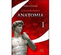 Schermi & sintesi di anatomia