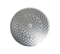 Schermo a disco, filtrazione della macchina del caffè, schermo di estrazione del caffè, per appassionati di baristi, principianti, casa, negozio, bar, degustazione, ufficio, officina, concorso