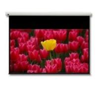 Schermo di proiezione Optoma Panoview 16:9 106" 2,69 m (106")