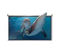 Schermo di proiezione portatile, Schermo for proiettore a scomparsa con montaggio a soffitto a parete 4:3/16:9 60-72 pollici Multicolor(Metal,4:3 60in)