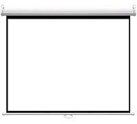 Schermo disegnato a mano for proiettore, schermo autobloccante Schermo manuale montato a parete disegnato a mano da 72/84/100 pollici, for ufficio domestico HD(100inch)