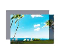 Schermo for proiettore portatile 16:9 Tenda ad alta luminosità di proiezione in tessuto anti-luce riflettente for la casa all'aperto(110 inch)