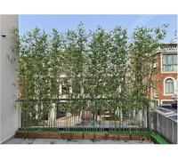 Schermo in plastica Separe divisorio esterno giardino Schermo decorativo in bambù di simulazione, Piante artificiali Piante finte Barriera per la privac(Size:40x18x18.5cm-8 Pole,Color:1.5m/4.9ft Tall)