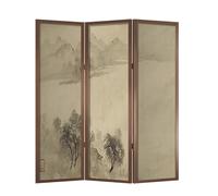 Schermo Per La Privacy Schermo pieghevole for la casa, retro, for il paesaggio, for soggiorno, for parete di fondo, for camera da letto, for l'ufficio Schermo Per Camino