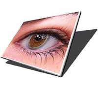 Schermo per laptop Chimei Innolux N140BGE-E33 REV.C1 da 14" LED HD compatibile