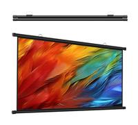 Schermo Per Proiettore Portatile, 30" 40" 50" 60" 72" Telo Proiettore Home Theater, Schermi Cinematografici AntiRughe, Per Home Theater Cinema Ufficio Videogiochi Interno(30in 16:9)