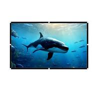 Schermo pieghevole per proiettore, materiale leggero, 221 x 125 cm, grande display video 16:9, schermo arrotolabile magnetico, superfici lisce anti-piega | Home Cinema Ufficio Chiesa Riunioni Serate