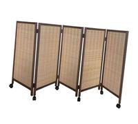 Schermo Portatile, Divisorio Indipendente, Divisorio Pieghevole For Interni, Con Ruote Universali A 360 Gradi, For Ufficio Domestico(120cm,5 pieces)