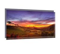 Schermo proiettore ad alta luminosità 60 100 120 pollici 16: 9 Schermo rivestito di tessuto riflettente per proiezione(100 inch)