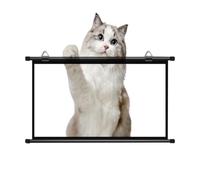 Schermo Proiettore Home Theater Telo Proiettore Abbassamento Manuale | Schermo Cinematografico Portatile 30" 40" 50" 60" 72" HD 4K Per Interni Ed Esterni(72 Inch (16:9))