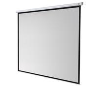 Schermo proiezione manuale 240x240cm gain 1.0 LCD DLP | CELEXON CEL-1090032