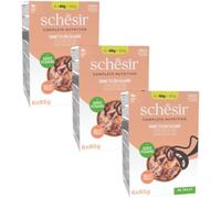 SCHESIR Kit Risparmio 18x85G Cat TONNETTO CON SALMONE