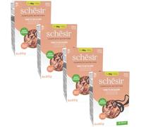 SCHESIR Kit Risparmio 24x85G Cat TONNETTO CON SALMONE