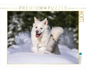Scheurer Monika CALVENDO - Puzzle "Il mio cane islandese Djarfur", 4 pezzi, dimensioni: 64 x 48 cm