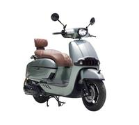 schienale passeggero posteriore Supporto Per Schienale E Vita Per Modifica Moto Per Victoria Per Sixties 150si 250 300i 2024