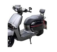 schienale passeggero posteriore Supporto Per Schienale E Vita Per Modifica Moto Per Victoria Per Sixties 150si 250 300i 2024