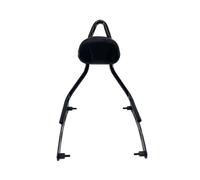 Schienale Posteriore Sedile Passeggero Accessori per moto Schienale passeggero posteriore classico retrò per Chief Bobber Dark Horse 2022 2023