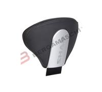 SCHIENALE SCHIENALINO PER BAULETTO MOTO SHAD ARGENTO SCOOTER D0RP05