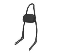 Schienale Sissy Bar Per Passeggero Alto Posizione Verticale Per Moto Per Il 2018-2023 Per Softail Low Rider Per Fat Boy Per Street Bob Breakout FXBB