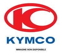 Schienalino bauletto shad Kymco AGILITY PLUS R16 125 2016-2018 8150D-LFC4-E10