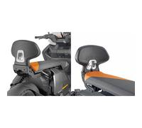 Schienalino BMW CE 04 GIVI - UN: UN