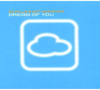Schiller mit Heppner - Dream of You (Rmx-Vinyl)