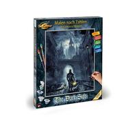 Schipper- Uomo Numeri-The Dark Side-Immagini da dipingere per Adulti, Inclusi pennelli e Colori acrilici, 40 x 50 cm, Nero, Medio, 609130889