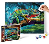 Schipper Kit dipingere con i numeri Camaleonte per adulti, pennelli e colori acrilici 40 x 50 cm